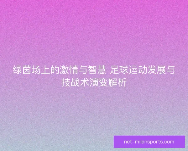 绿茵场上的激情与智慧 足球运动发展与技战术演变解析